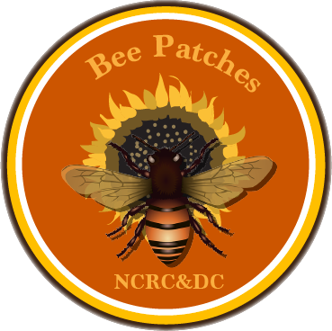 BeePatches burntorangeamber